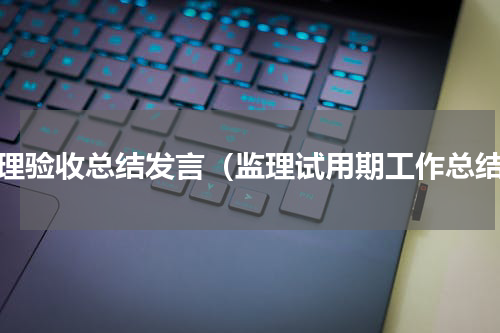 监理验收总结发言（监理试用期工作总结）