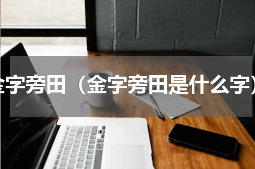 金字旁田（金字旁田是什么字）