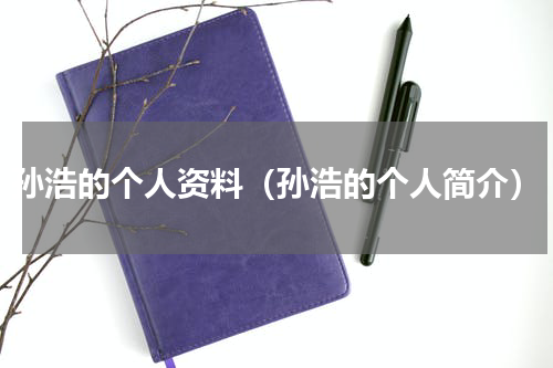 孙浩的个人资料（孙浩的个人简介）
