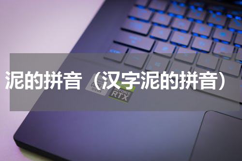 泥的拼音（汉字泥的拼音）