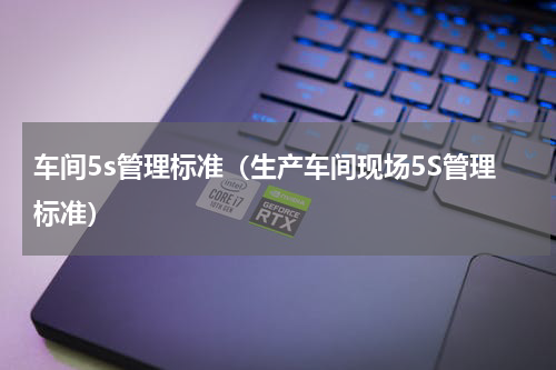 车间5s管理标准（生产车间现场5S管理标准）