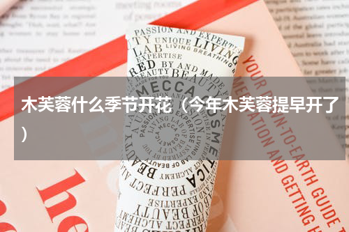 木芙蓉什么季节开花（今年木芙蓉提早开了）