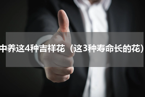 家中养这4种吉祥花（这3种寿命长的花）