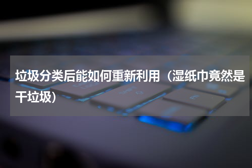 垃圾分类后能如何重新利用（湿纸巾竟然是干垃圾）