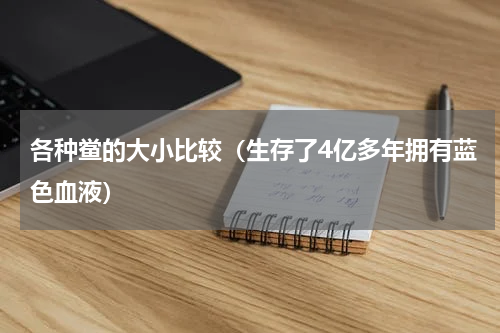各种鲎的大小比较（生存了4亿多年拥有蓝色血液）