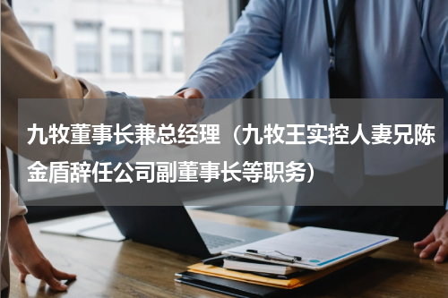 九牧董事长兼总经理（九牧王实控人妻兄陈金盾辞任公司副董事长等职务）