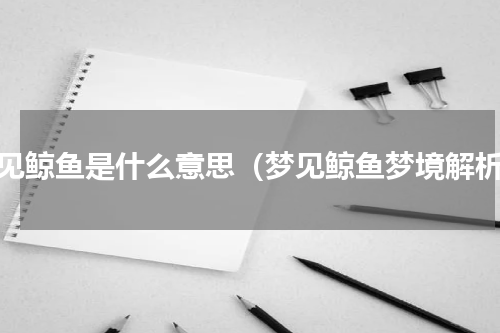 梦见鲸鱼是什么意思（梦见鲸鱼梦境解析）