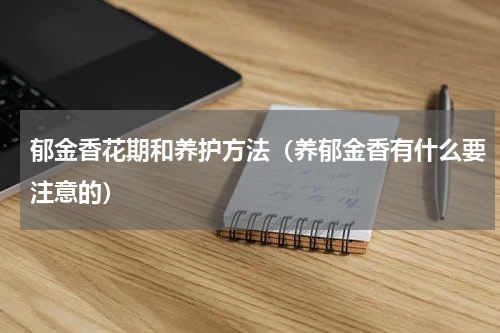 郁金香花期和养护方法（养郁金香有什么要注意的）