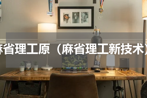 麻省理工原（麻省理工新技术）
