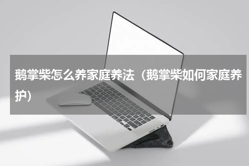 鹅掌柴怎么养家庭养法（鹅掌柴如何家庭养护）