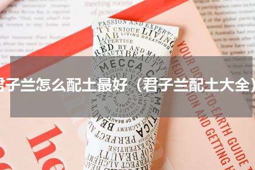 君子兰怎么配土最好（君子兰配土大全）