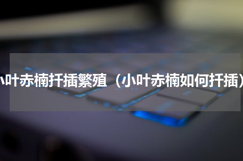 小叶赤楠扦插繁殖（小叶赤楠如何扦插）