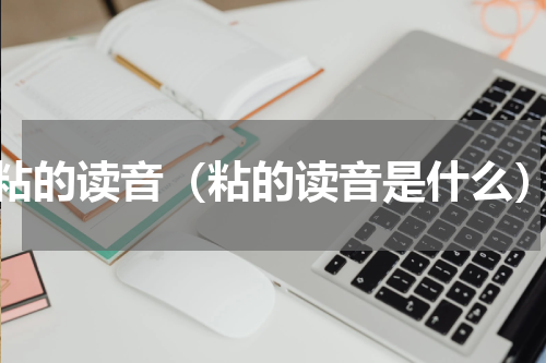 粘的读音（粘的读音是什么）