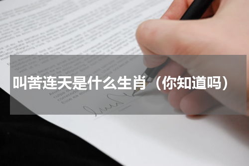 叫苦连天是什么生肖（你知道吗）