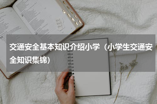 交通安全基本知识介绍小学（小学生交通安全知识集锦）