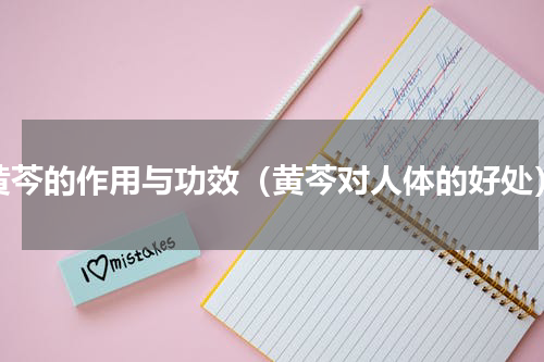 黄芩的作用与功效（黄芩对人体的好处）
