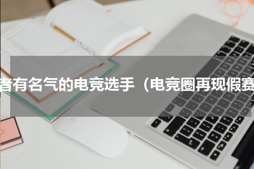 王者有名气的电竞选手（电竞圈再现假赛）