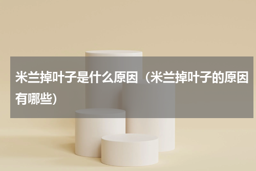 米兰掉叶子是什么原因（米兰掉叶子的原因有哪些）