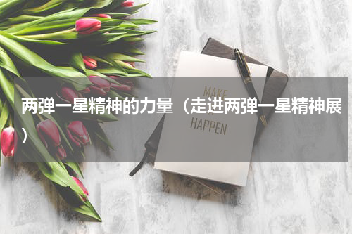 两弹一星精神的力量（走进两弹一星精神展）