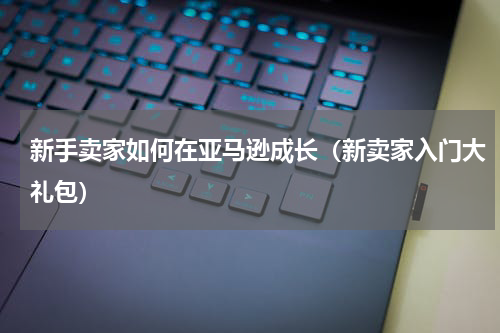 新手卖家如何在亚马逊成长（新卖家入门大礼包）