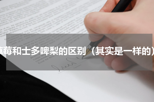 草莓和士多啤梨的区别（其实是一样的）