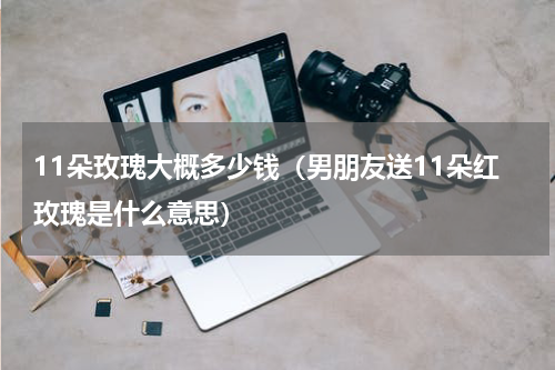 11朵玫瑰大概多少钱（男朋友送11朵红玫瑰是什么意思）