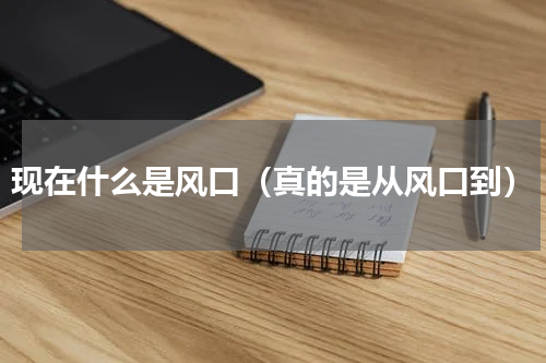 现在什么是风口（真的是从风口到）