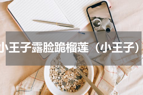 小王子露脸跪榴莲（小王子）