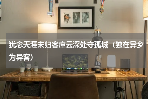犹念天涯未归客瘴云深处守孤城（独在异乡为异客）