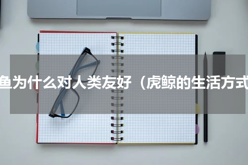 鲸鱼为什么对人类友好（虎鲸的生活方式）