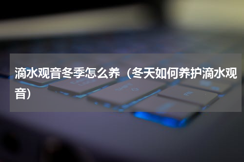 滴水观音冬季怎么养（冬天如何养护滴水观音）