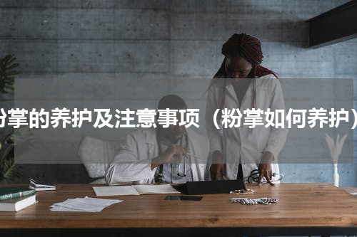 粉掌的养护及注意事项（粉掌如何养护）