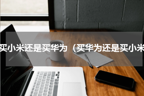 是买小米还是买华为（买华为还是买小米）