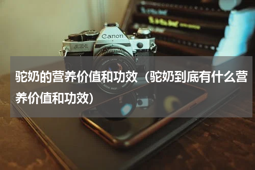 驼奶的营养价值和功效（驼奶到底有什么营养价值和功效）