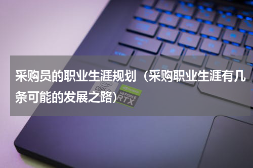 采购员的职业生涯规划（采购职业生涯有几条可能的发展之路）
