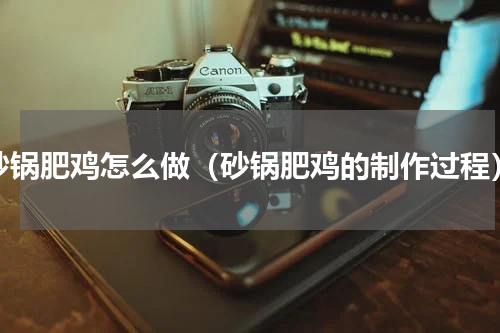砂锅肥鸡怎么做（砂锅肥鸡的制作过程）