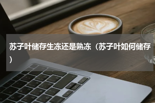 苏子叶储存生冻还是熟冻（苏子叶如何储存）