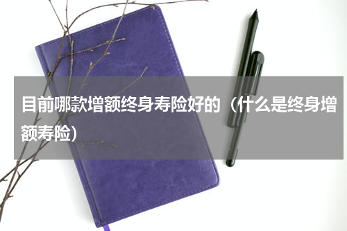 目前哪款增额终身寿险好的（什么是终身增额寿险）