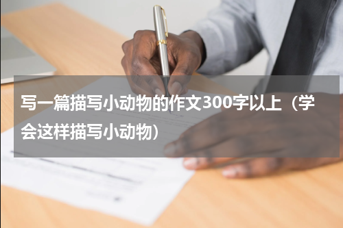 写一篇描写小动物的作文300字以上（学会这样描写小动物）