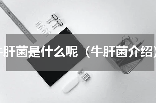 牛肝菌是什么呢（牛肝菌介绍）