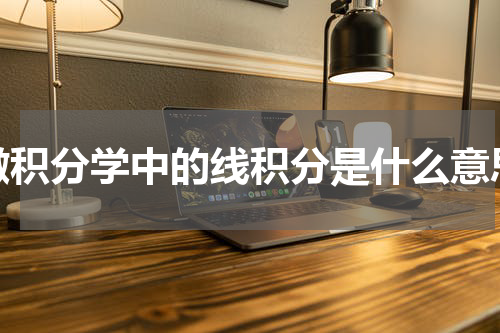 微积分学中的线积分是什么意思