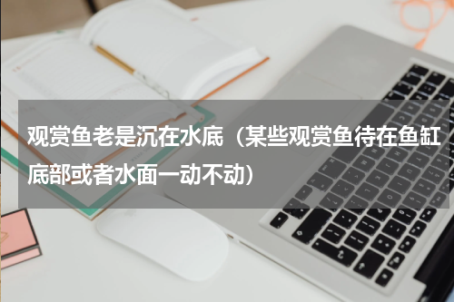 观赏鱼老是沉在水底（某些观赏鱼待在鱼缸底部或者水面一动不动）