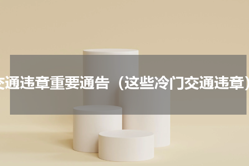 交通违章重要通告（这些冷门交通违章）