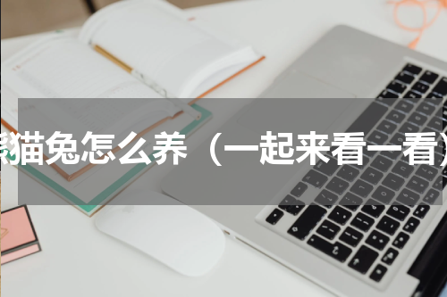 熊猫兔怎么养（一起来看一看）