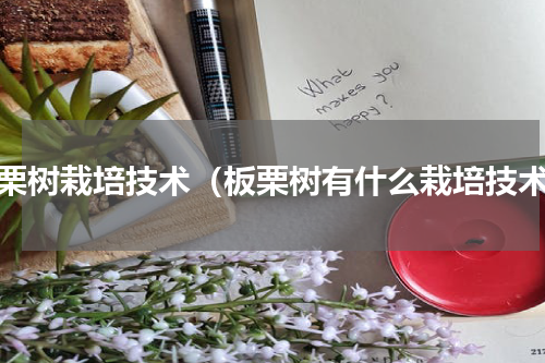 板栗树栽培技术（板栗树有什么栽培技术）