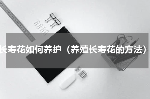 长寿花如何养护（养殖长寿花的方法）