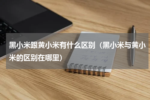 黑小米跟黄小米有什么区别（黑小米与黄小米的区别在哪里）