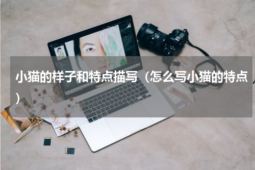 小猫的样子和特点描写（怎么写小猫的特点）