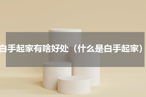 白手起家有啥好处（什么是白手起家）