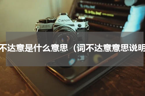 词不达意是什么意思（词不达意意思说明）